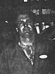 Photo of Ernie Tate